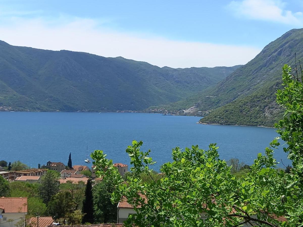 Sea View Otel Risan Dış mekan fotoğraf